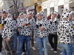 Simmeringer Faschingsumzug 2025